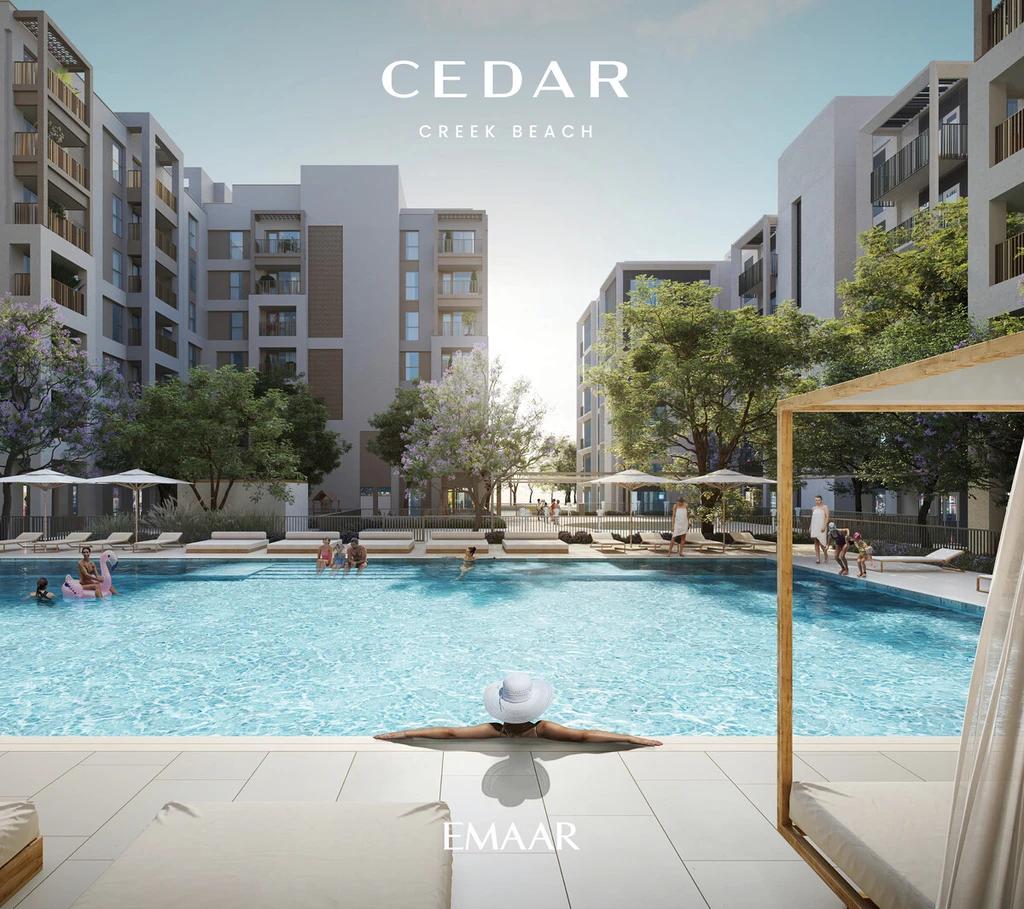 Cedar